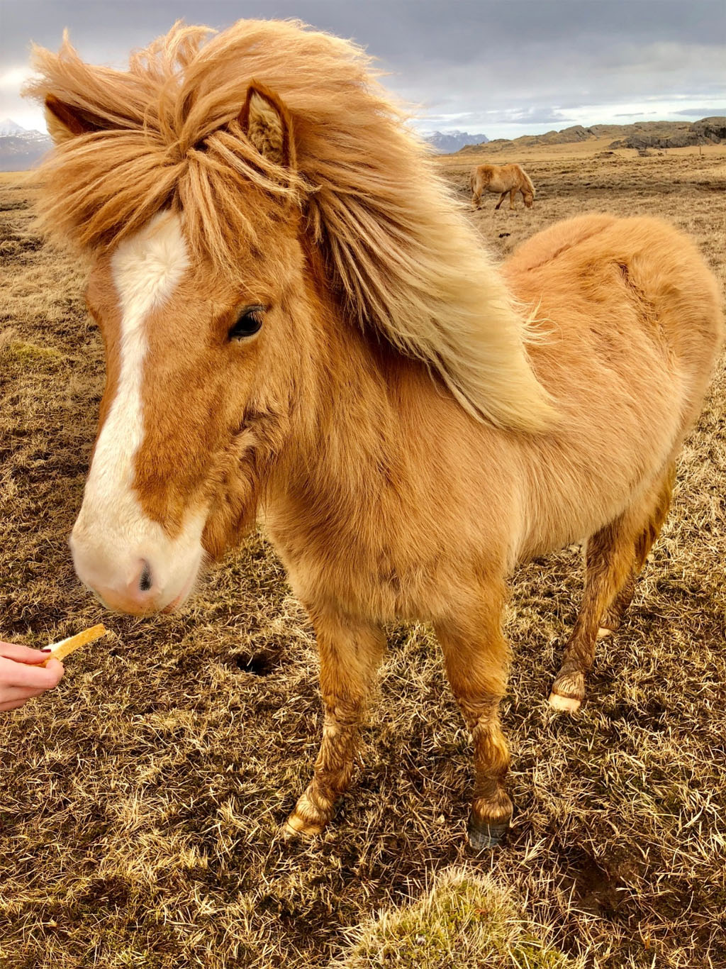 que-ver-islandia-ruta