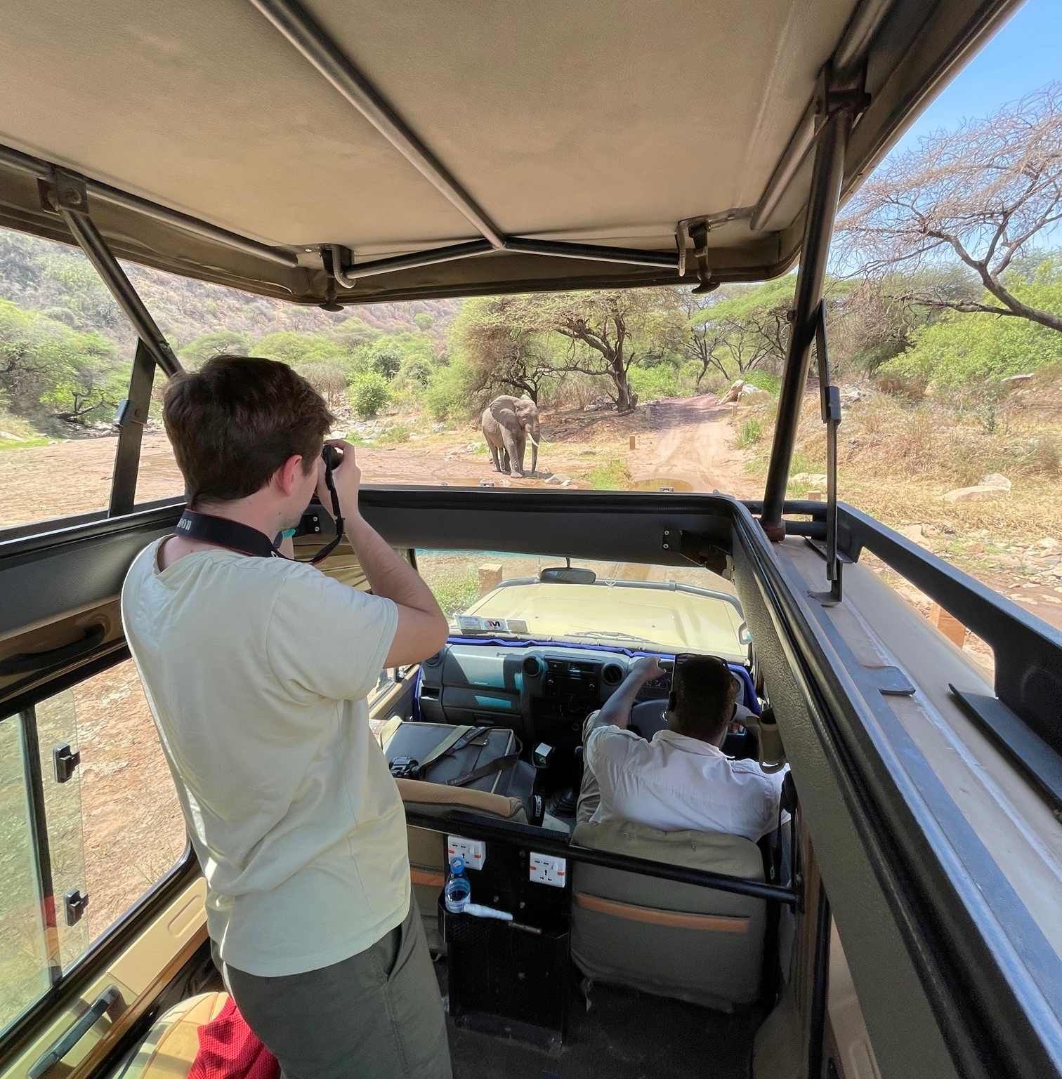 Consejos para ir de safari a Tanzania - como moverse