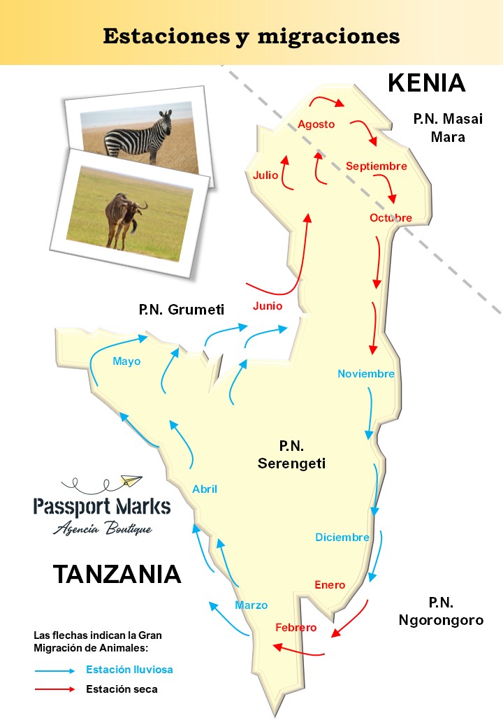Tanzania - Safari cuando y donde ir