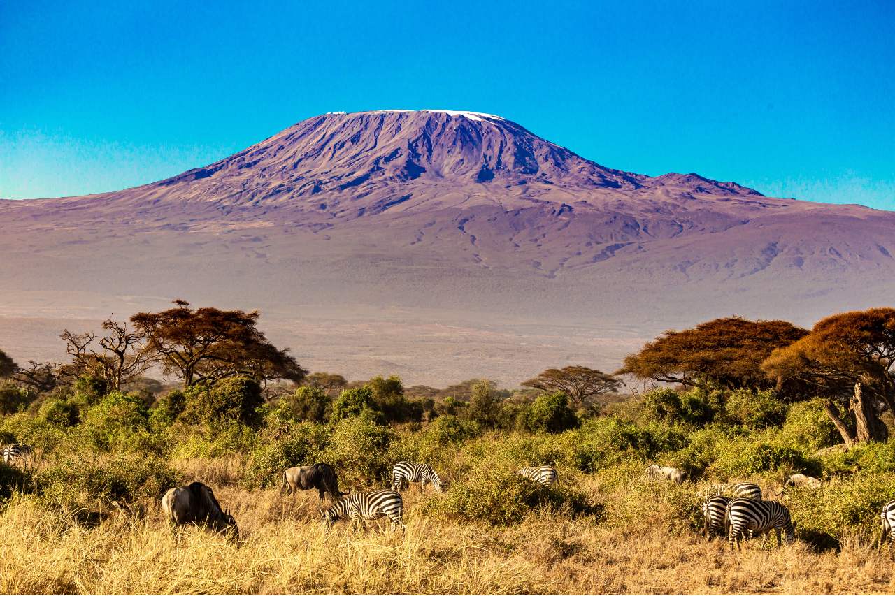 Mejor epoca para viajar a Tanzania - Kilimanjaro