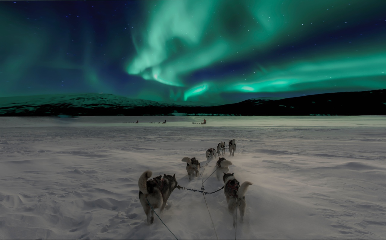 Donde montar en trineo de perros - auroras boreales