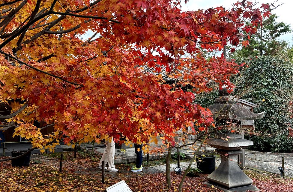 mejor epoca par viajar a Japon otoño