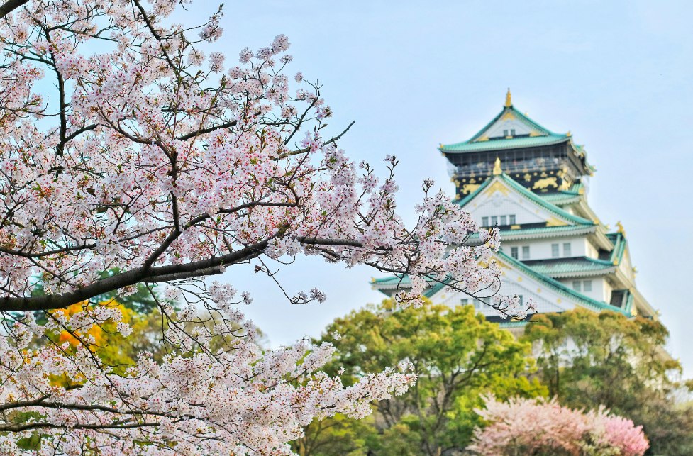 mejor época para viajar a Japón primavera