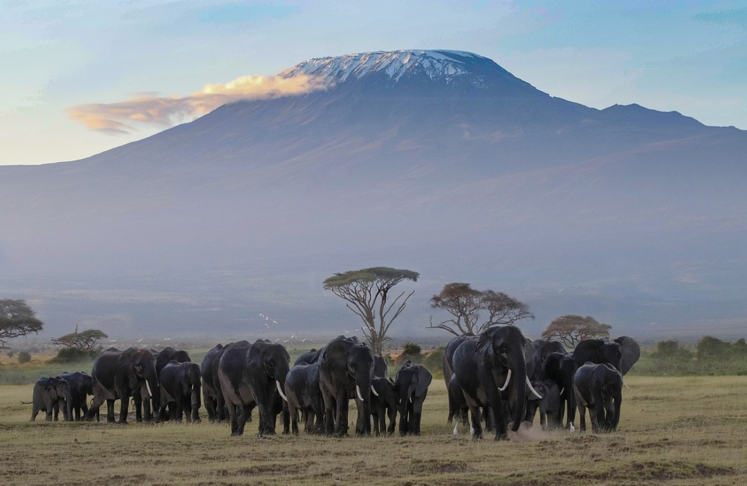 mejor epoca para viajar a kenia kilimanajaro