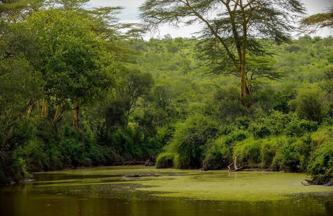 mejor epoca para viajar a kenia norte