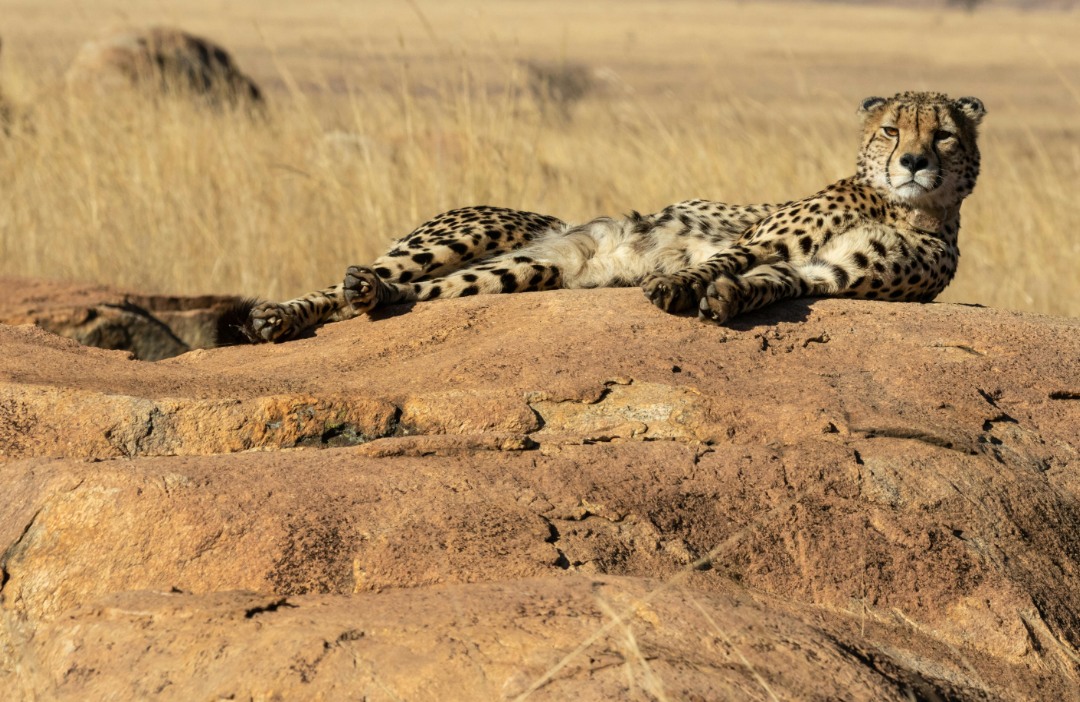 mejor epoca para viajar a sudafrica invierno