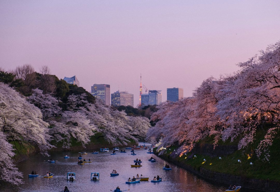 consejos para viajar a japon epoca