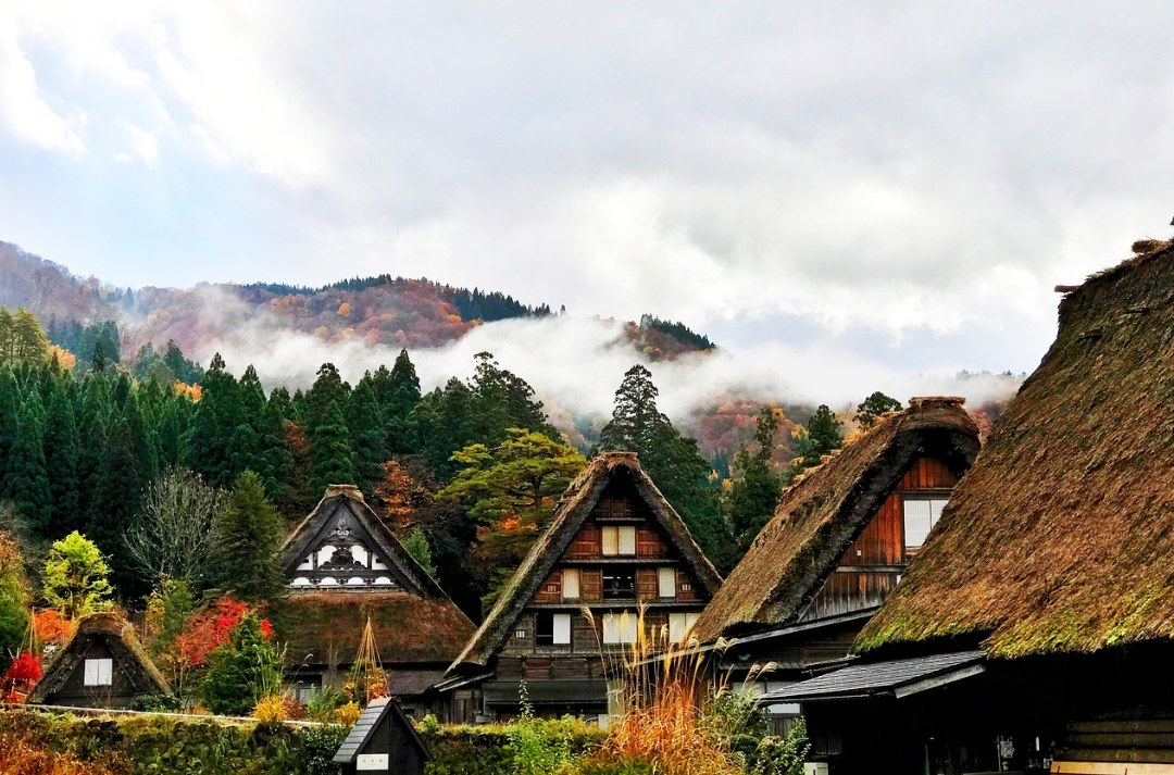 cosas que ver en japon shirakawago