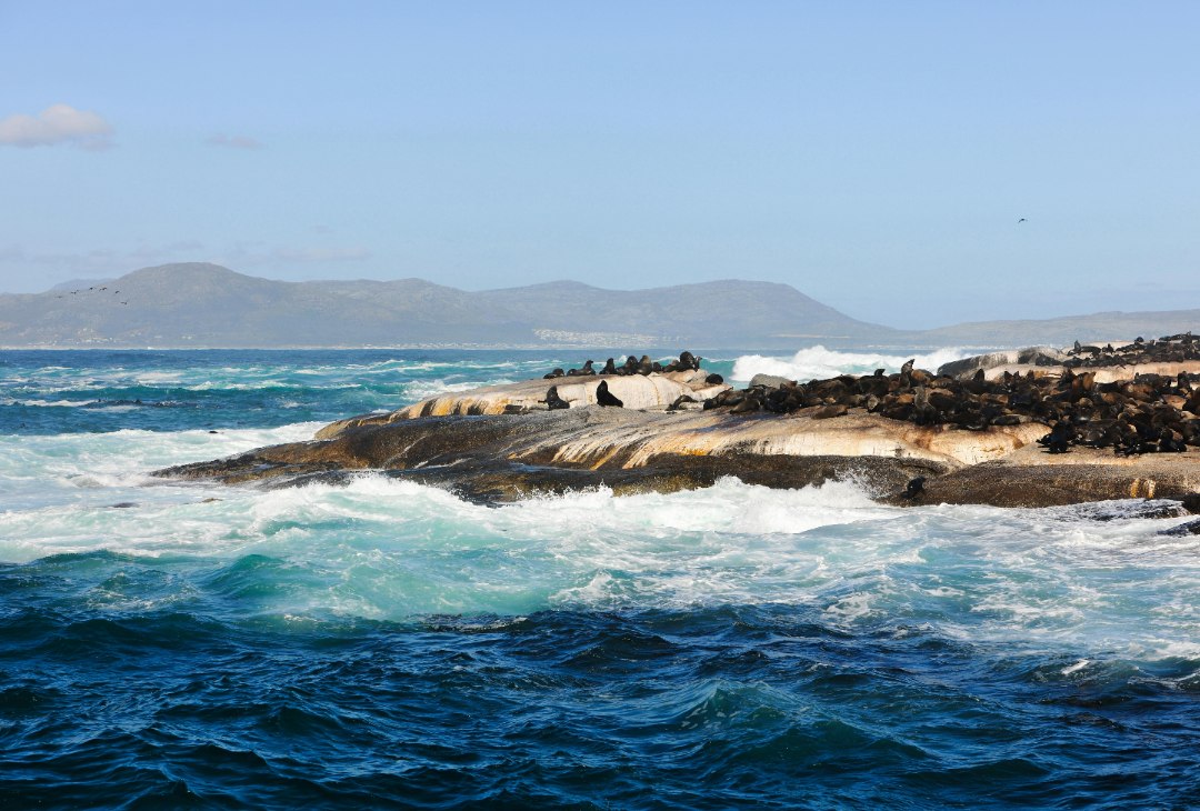 cosas que ver en sudafrica hout bay