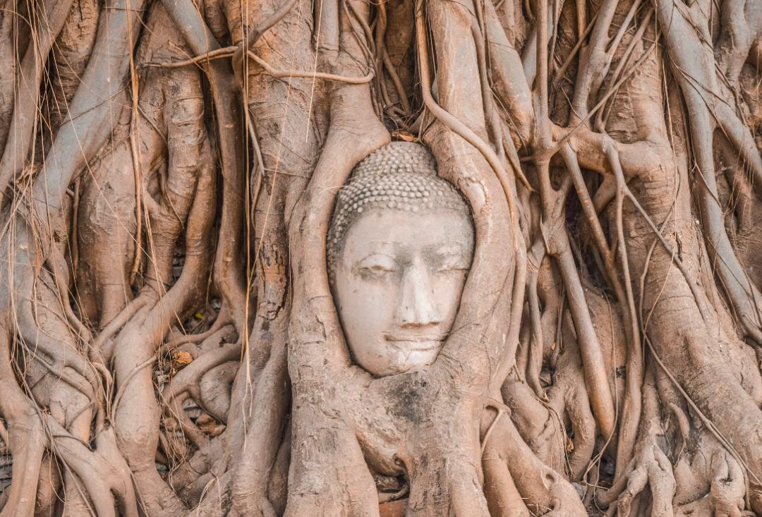 cosas que ver en tailandia ayutthaya