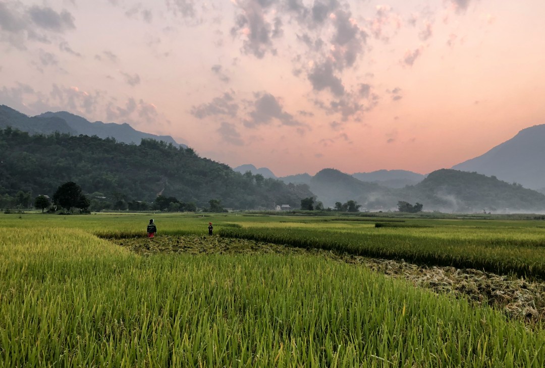 cosas que ver en vietnam mai chau