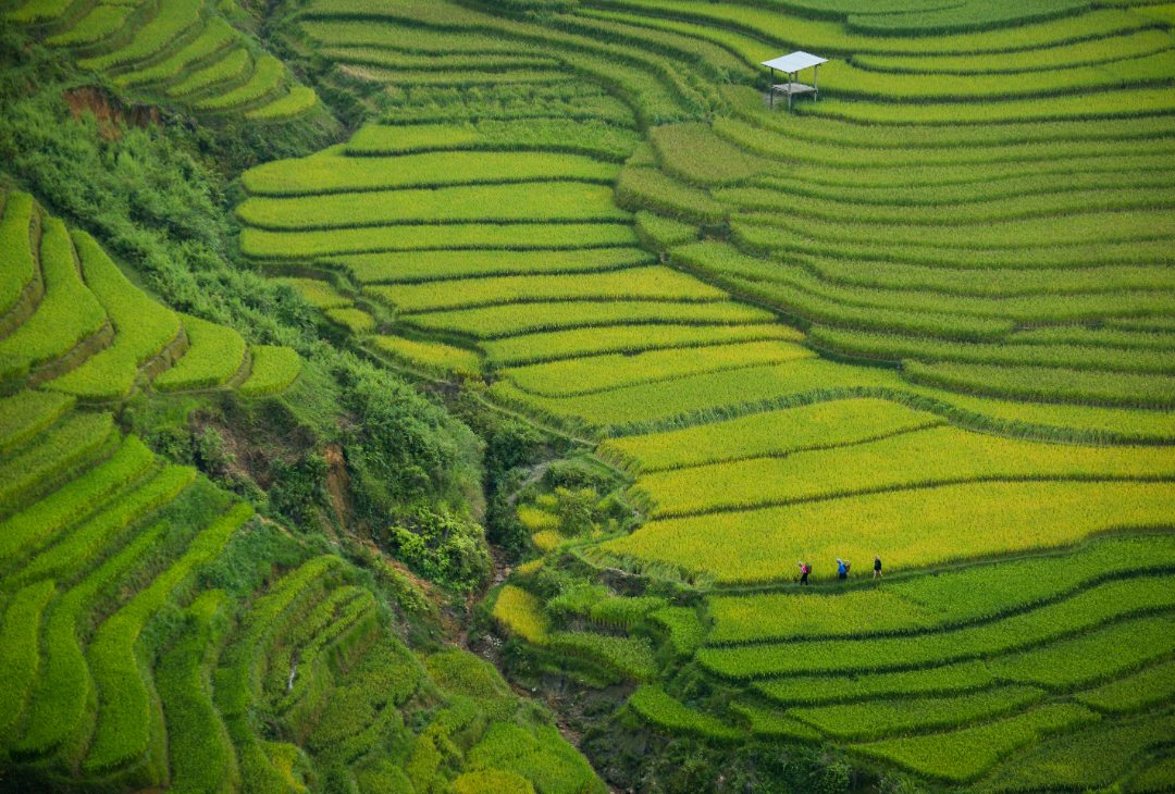 cosas que ver en vietnam sapa