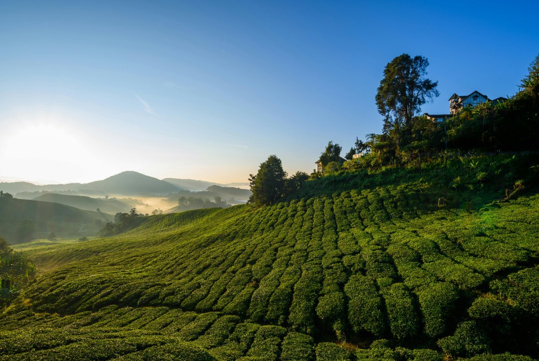 mejor epoca para viajar a malasia tierras altas