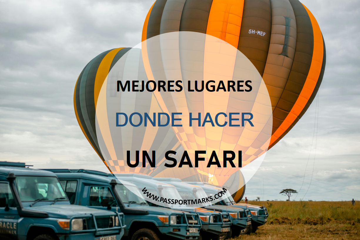 mejores lugares donde hacer un safari portada