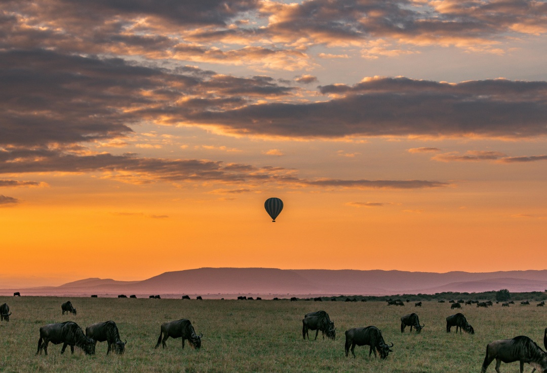 mejores lugares donde hacer un safari tanzania