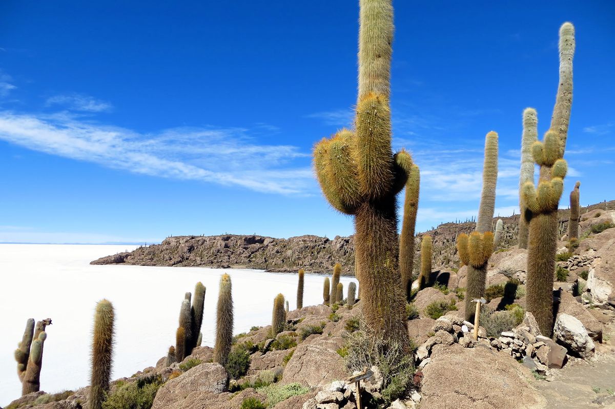 Lugares más impresionantes de América del Sur Bolivia