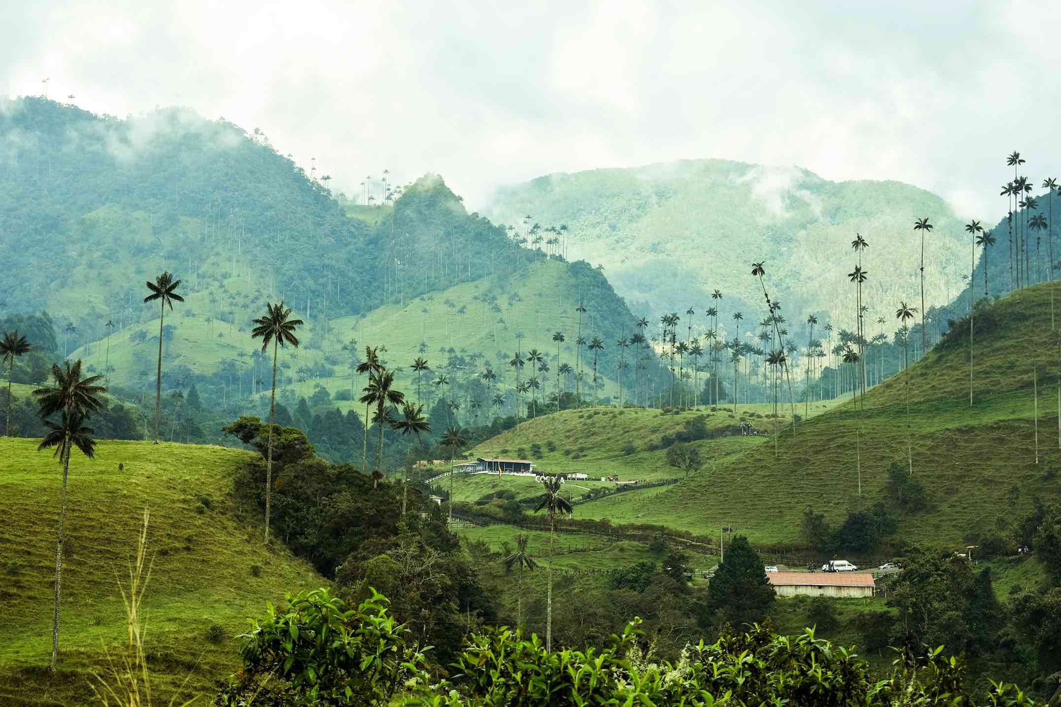 Lugares más impresionantes de América del Sur Eje cafetero colombia