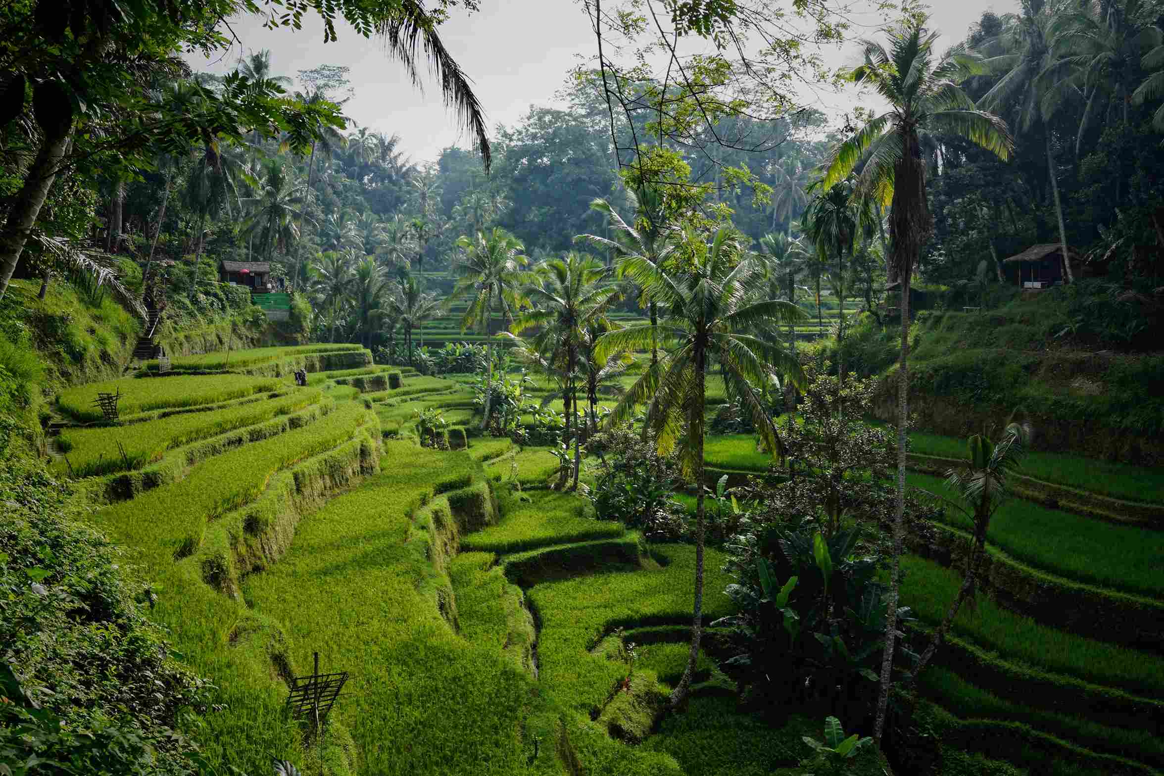 destinos para desconectar del estrés Bali