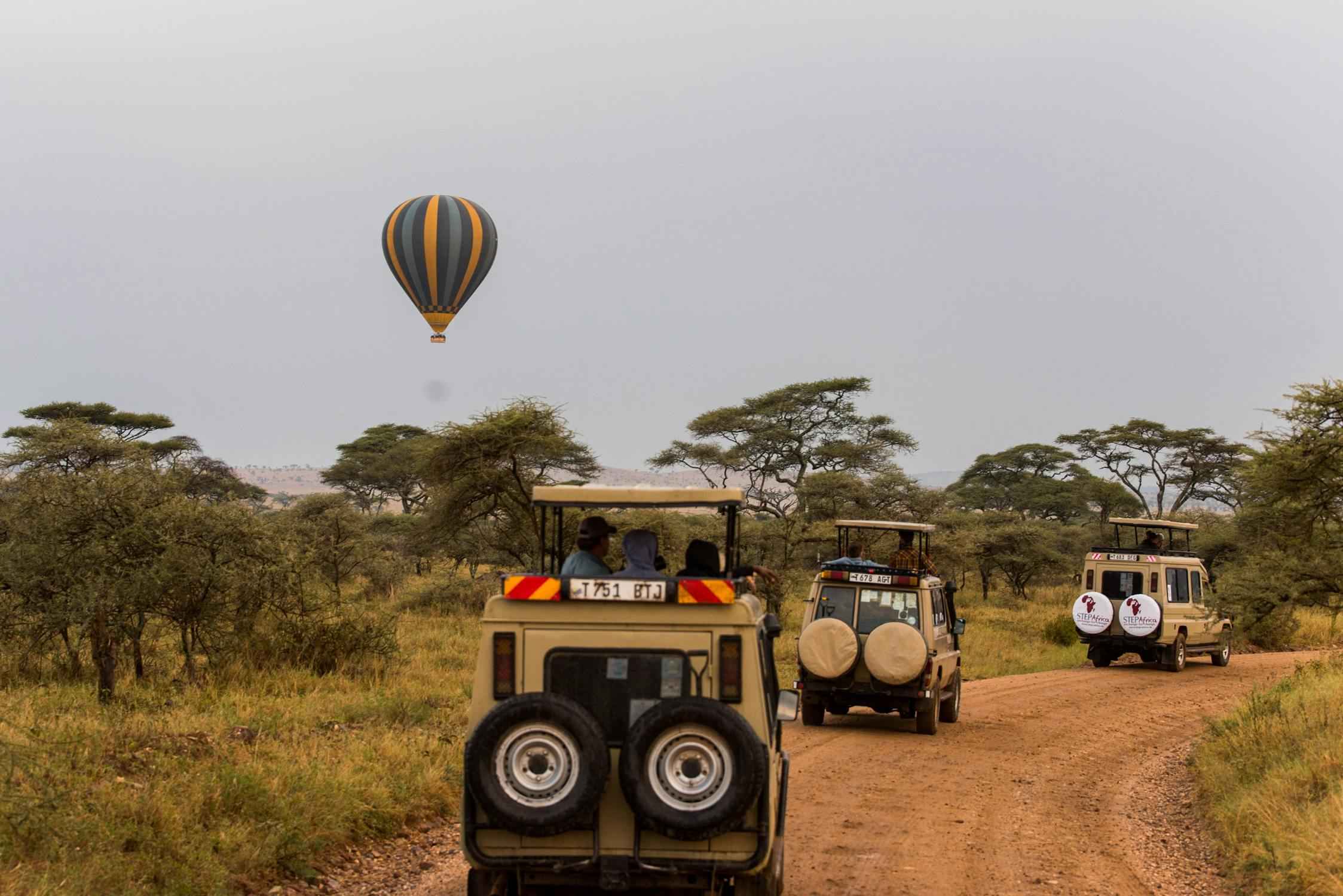 Mejores Parques Nacionales de Tanzania Parque Nacional del Serengeti_11zon