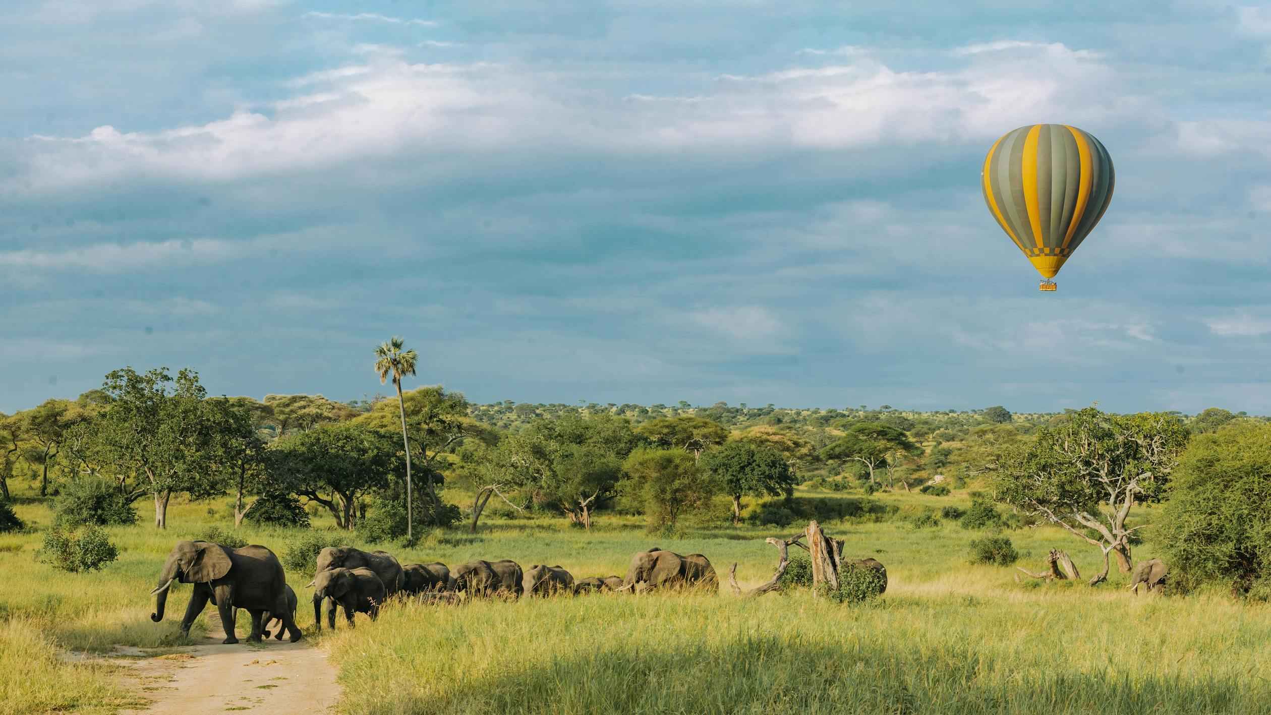 Mejores parque Naturales de Tanzania.Tarangire