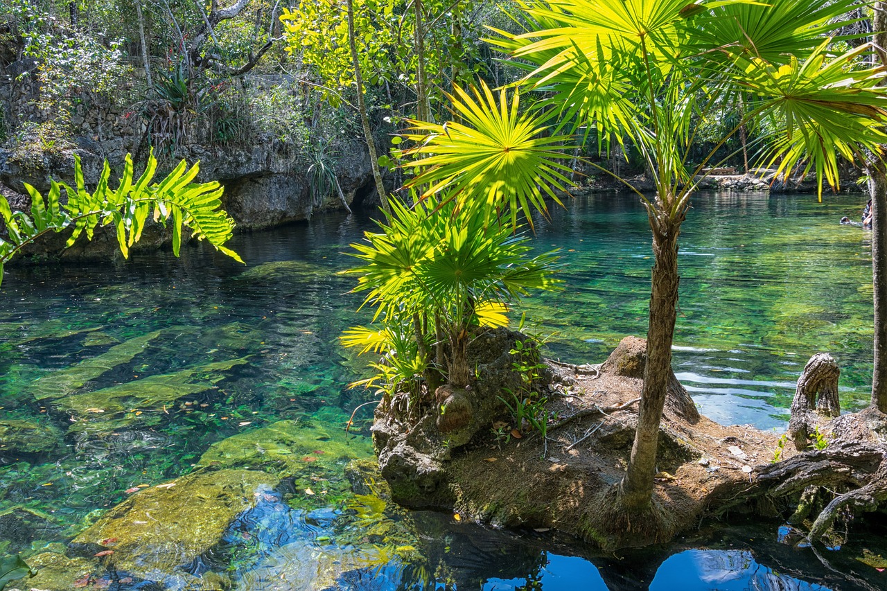 Cenotes de Yucatán, México buceo