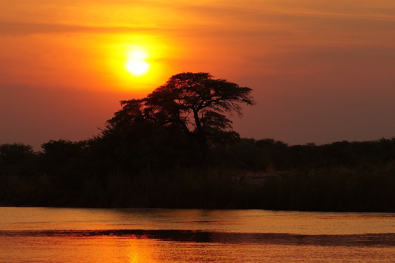 Parques naturales más top de ÁfricaDelta del Okavango (Botsuana)