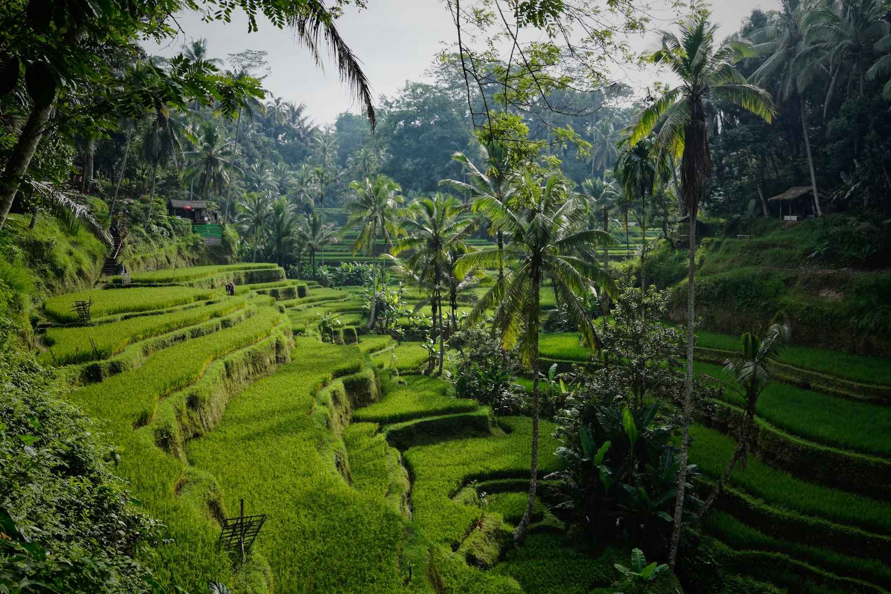 Destinos más fotogénicos del mundo bali