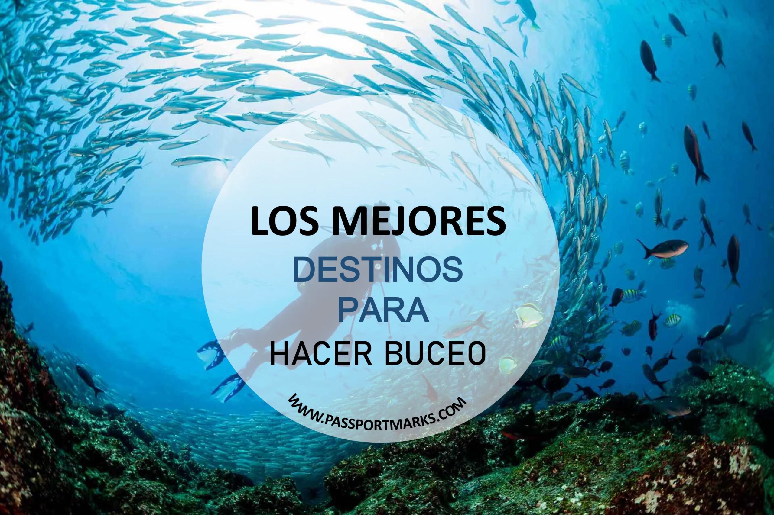 buceo portada blog