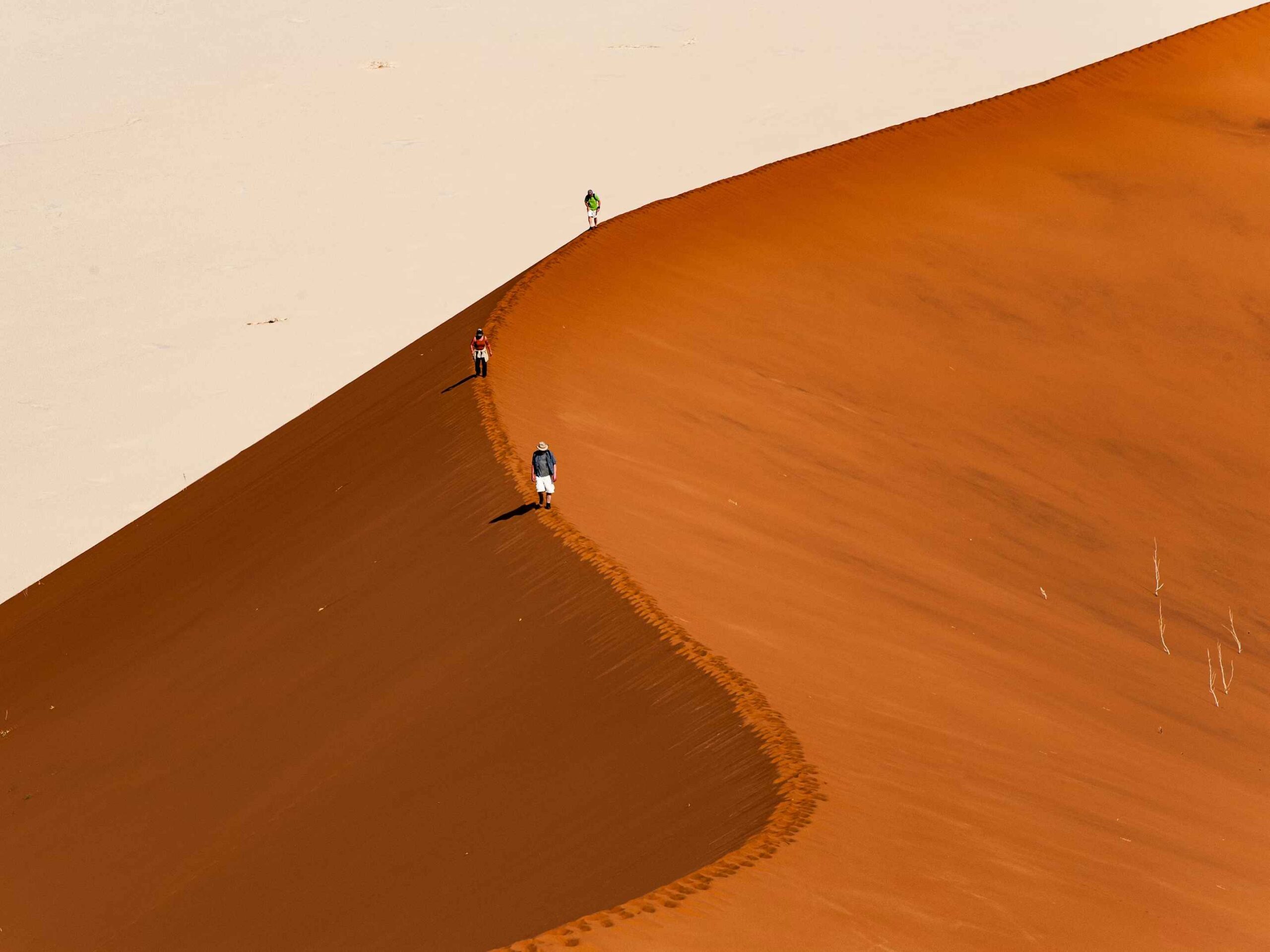 Los desiertos más impresionantes del mundo namib