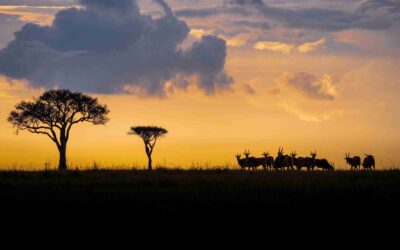 kenia destino portada