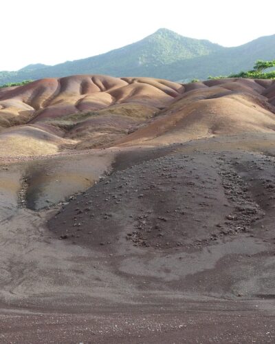 Chamarel y la Tierra de los Siete Colores