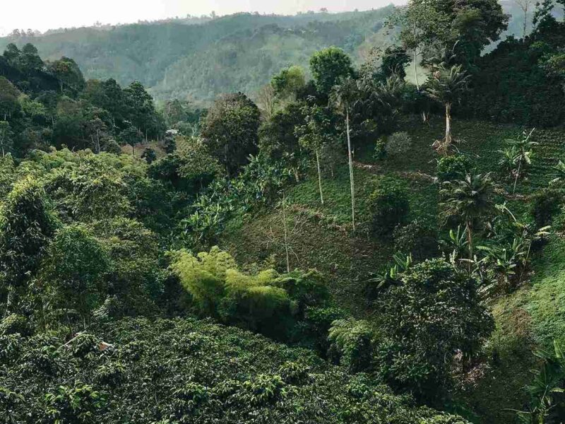 destino colombia foto web