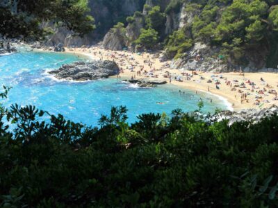 blair-vermette-LWHncFz0pdE-unsplash_11zon