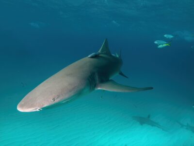 fiona-ayerst-AhGS_FMEU0s-unsplash_11zon fiona-ayerst-AhGS_FMEU0s-unsplash_11zon