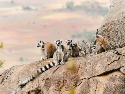 guillermo-suarez-p7_8WfzjYgg-unsplash_11zon