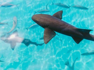 jakob-owens-ufcaRw4wCCg-unsplash_11zon jakob-owens-ufcaRw4wCCg-unsplash_11zon