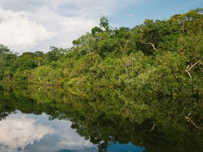 Amazonas Brasil
