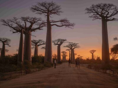 noah-grossenbacher-V_T5TFWHNoA-unsplash_11zon