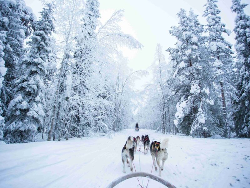 robert-tjalondo-ckoFnqmaw-E-unsplash_11zon