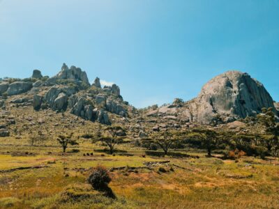 rutendo-petros-LozNVrK-dJU-unsplash