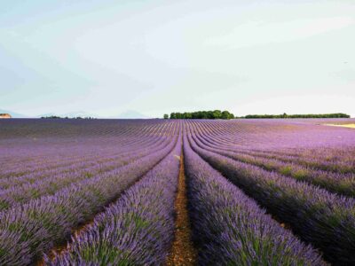 simon-spring-KqZ7D0JSQYk-unsplash_11zon simon-spring-KqZ7D0JSQYk-unsplash_11zon