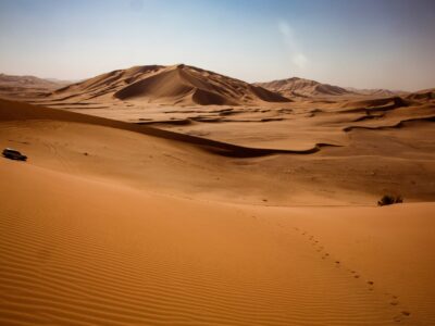 tanja-cotoaga-x0D-ZLg_eFg-unsplash