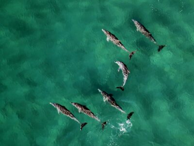 wynand-uys-0_32AIxy1Hk-unsplash_11zon