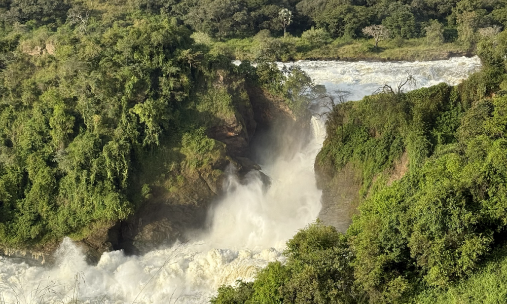 Qué ver y hacer en Uganda - Murchison Falls