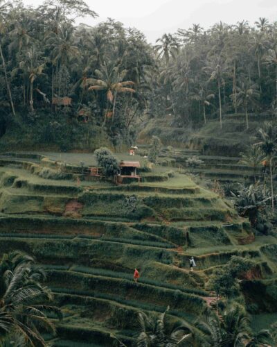 radoslav-bali-ca3d4FYDf84-unsplash_11zon