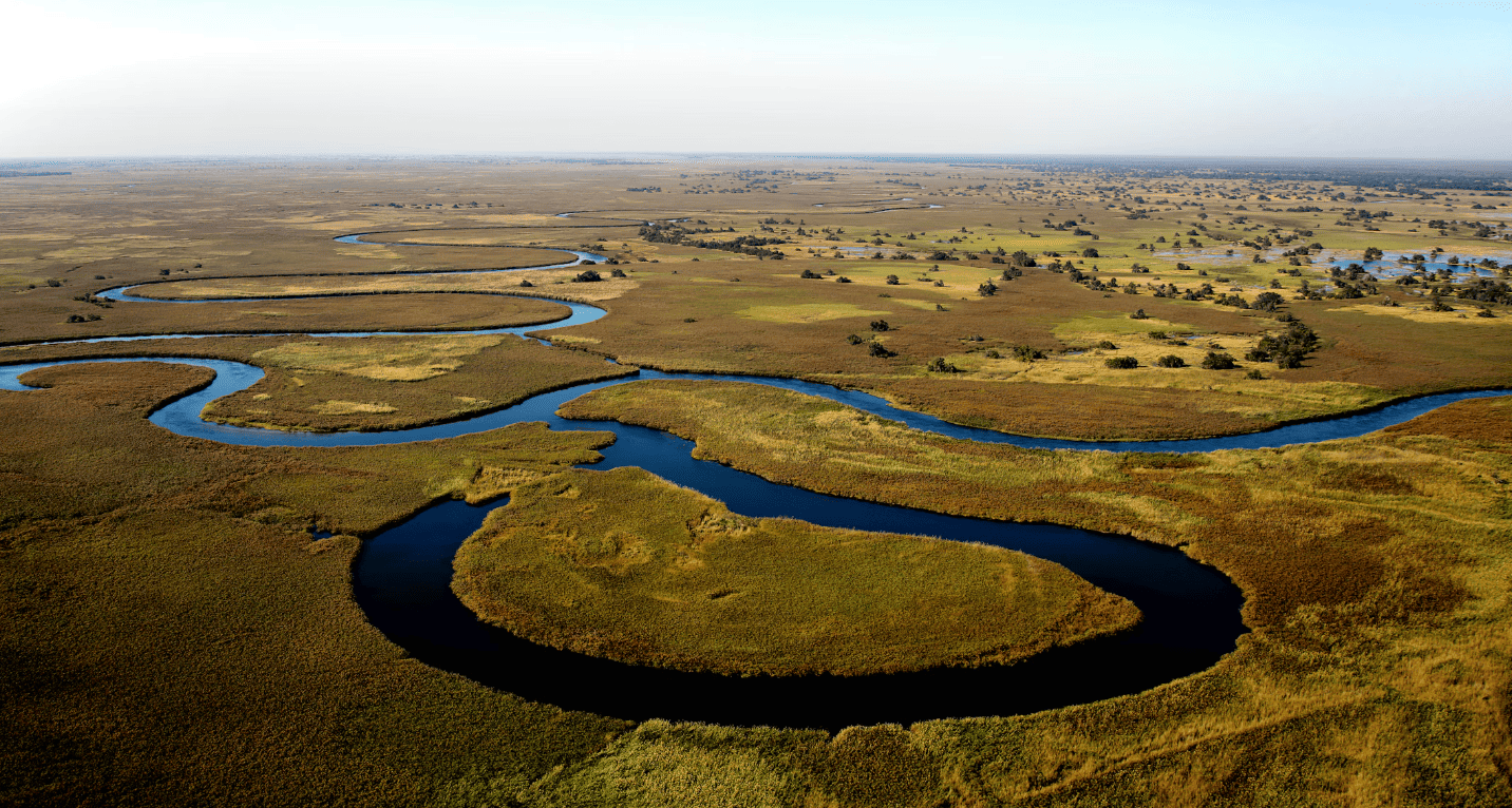 Botswana vs Kenia vs Tanzania: ¿qué safari elegir?