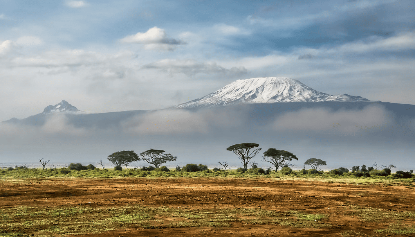 Botswana vs Kenia vs Tanzania: ¿qué safari elegir?