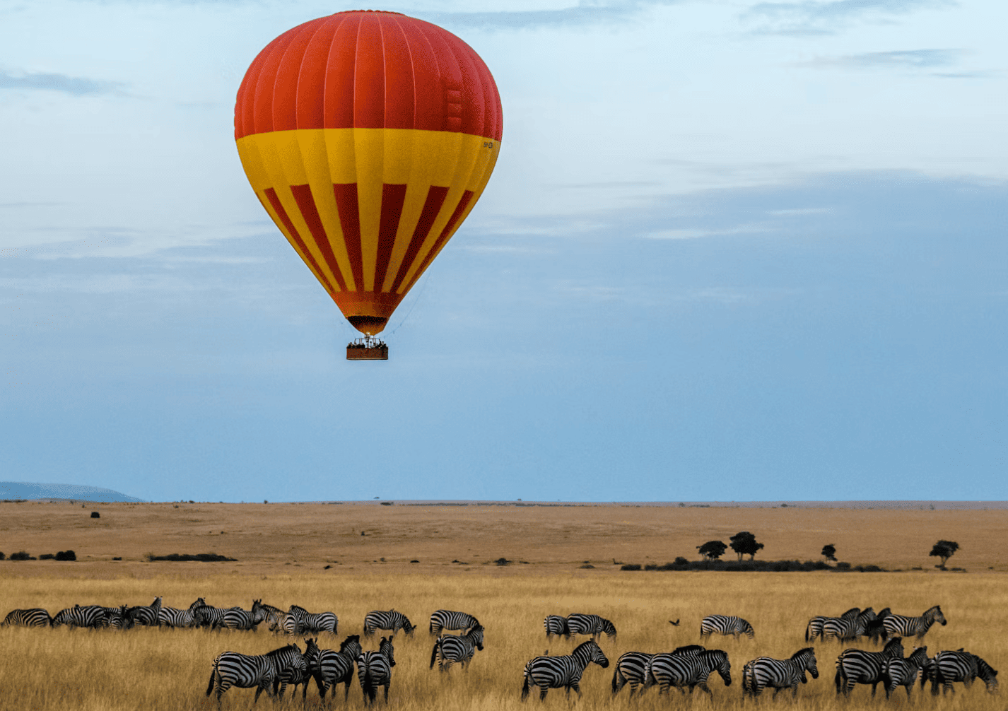 Masai Mara - Botswana vs Kenia vs Tanzania: ¿qué safari elegir?
