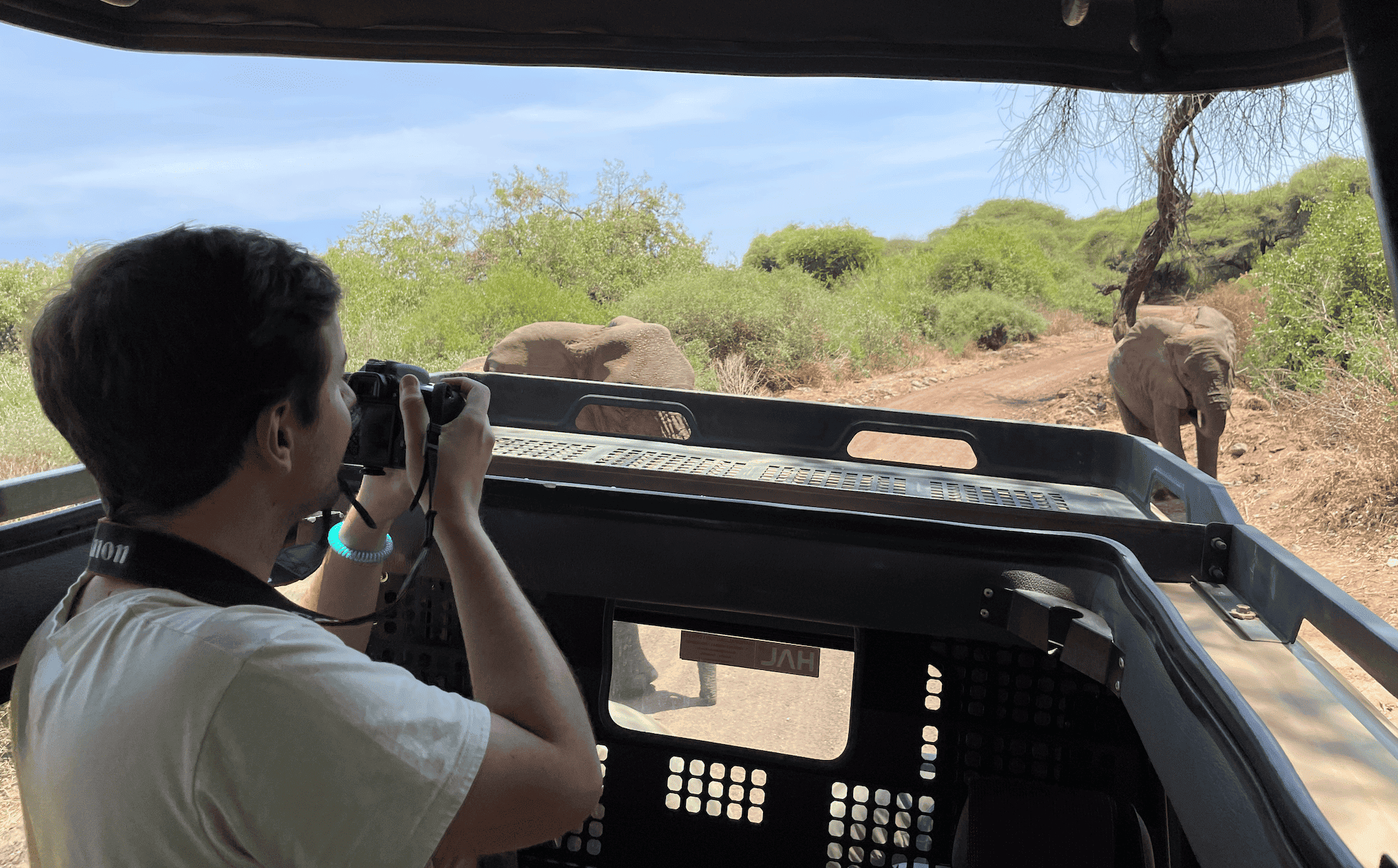 Botswana vs Kenia vs Tanzania: ¿qué safari elegir?